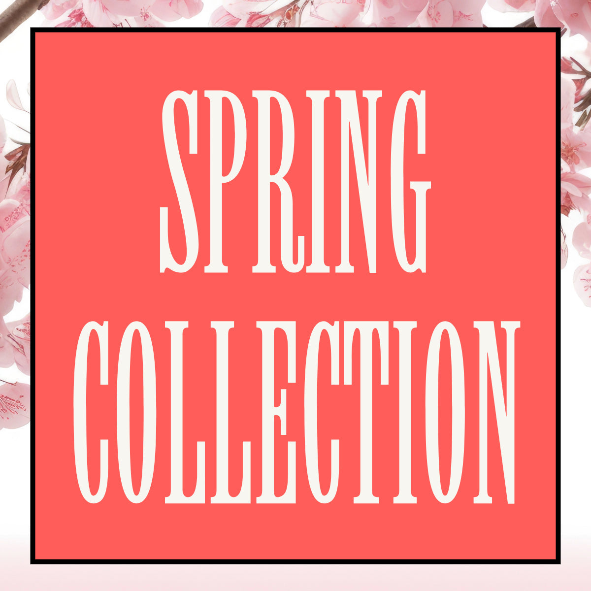 Frühlingskollektion – Frische Designs für den Frühling 🌸